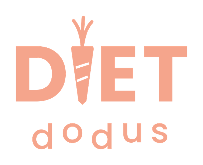 dietdodus-orange Logo DietDodos Dorian Boivin - Orange